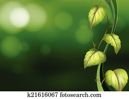 Vine background Vine background