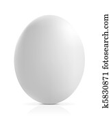 צילום מקרוב, של, an, ביצה, ב, a, רקע לבן