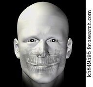 adult male dental scan adult male dental scan