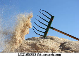 Harvest Harvest