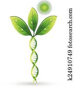 natural, adn, planta, conceito, logotipo