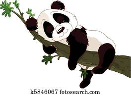 panda, dormir, uma filial