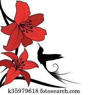 שושן, ו, האמינגבירד