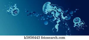 Jellyfish Jellyfish