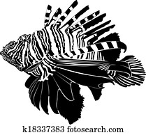 marine, aquariumfisch, zebra lionfish marine, aquariumfisch, zebra lionfish