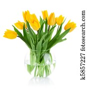 yellow tulip flowers in glass vase