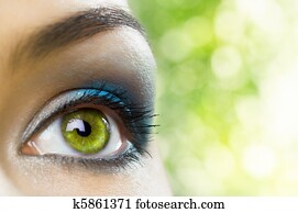 beauty eye beauty eye