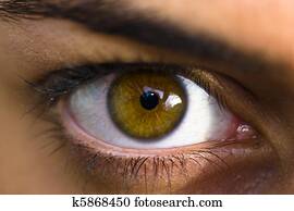 Eye Eye