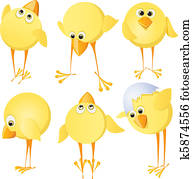 chicks
