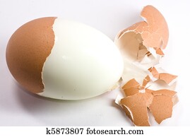 Eggs Eggs