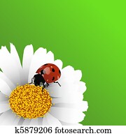 frühling, hintergrund frühling, hintergrund