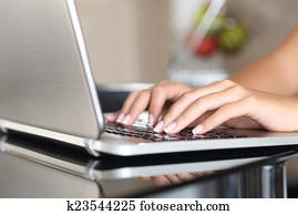 Woman hands working with a laptop at home Woman hands working with a laptop at home