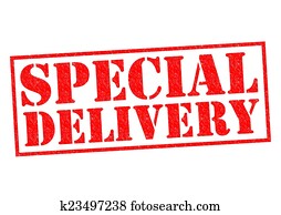 משלוח מיוחד