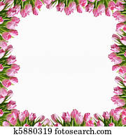 Beautiful colorful tulip frame 