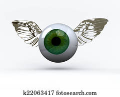 eye with wings that fly eye with wings that fly