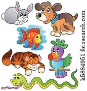 Happy pets collection 1 Happy pets collection 1