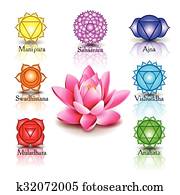 Lotus and Seven chakras