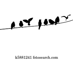 pássaros, ligado, um, fio telefone