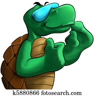 the turtle the turtle