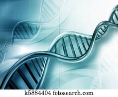 די.אנ.אי, סיבים