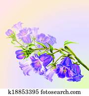 frühjahrsblumen, einladung, schablone frühjahrsblumen, einladung, schablone