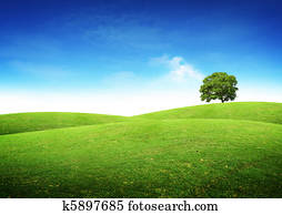 Green Summer Landscape Green Summer Landscape