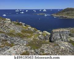 icebergs at Fogo Island