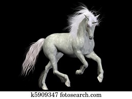 blanco, unicornio