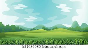 Field Field