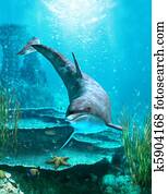 Oceanworld 3 Oceanworld 3
