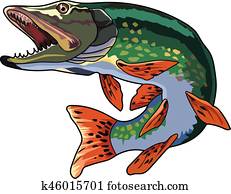 pike pike