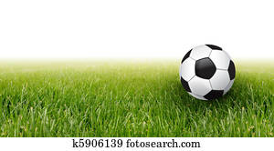 soccer ball and grass soccer ball and grass