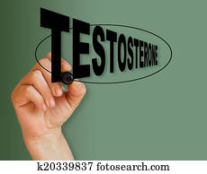 testosterone