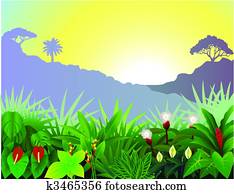 Tropical forest Tropical forest