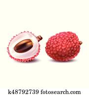 Vector illustration of a realistic style of litchy whole fruit and a cut litchi isolated on white.