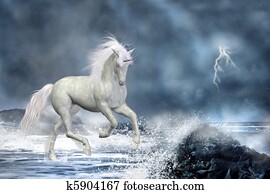 white unicorn white unicorn