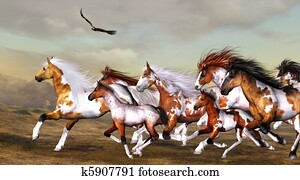 Wildhorses herd Wildhorses herd