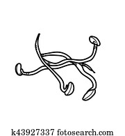 Freehand drawing illustration bean sprout. Freehand drawing illustration bean sprout.