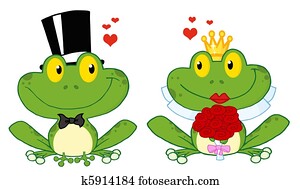 Frog Bride And Groom Frog Bride And Groom