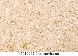 Full Frame Limestone with Embedded Fossils 