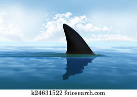 Shark fin above water Shark fin above water