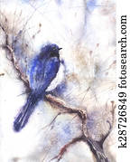 Water color drawing of a bird Water color drawing of a bird