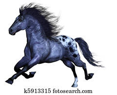 Wild horse Wild horse
