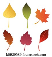Autumn leaves Autumn leaves