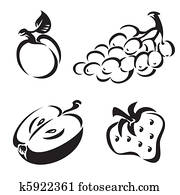fruit fruit
