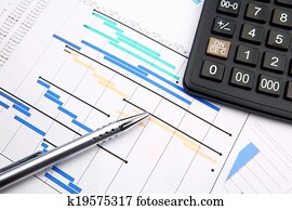 Project management Project management