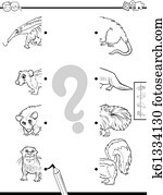 זוג, חצאים, של, בעל חיים, אותיות, משחק, צבע, הזמן