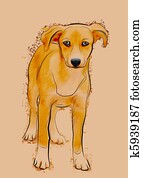portrait of homeless stray dog portrait of homeless stray dog
