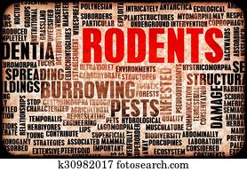 Rodents Rodents