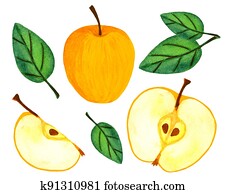 Yellow apple, half with seeds and leaves collection isolated on white background